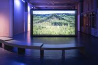 Photography: Cassander Eeftinck Schattenkerk, Agnes Denes