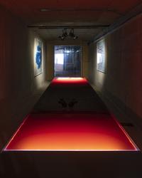 Sweet Harmony: Sarah Schönfeld - photo by Cassander Eeftinck Schattenkerk