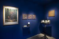 Sweet Harmony: R.A.R.O.X.Y-room III - photo by Cassander Eeftinck Schattenkerk