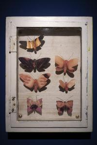 Sweet Harmony: R.A.R.O.X.Y-room IV - photo by Cassander Eeftinck Schattenkerk